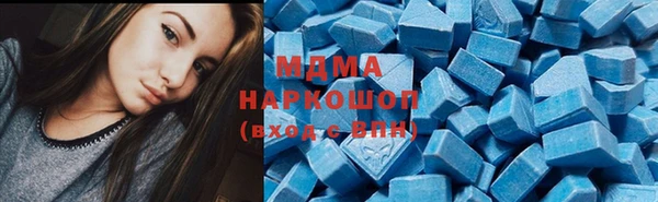 ГАЛЛЮЦИНОГЕННЫЕ ГРИБЫ Дмитриев