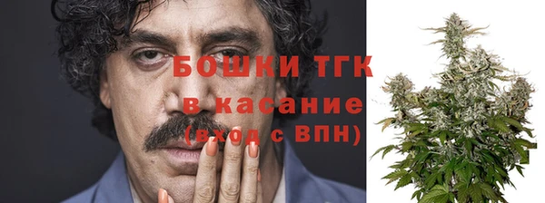 ГАЛЛЮЦИНОГЕННЫЕ ГРИБЫ Дмитриев