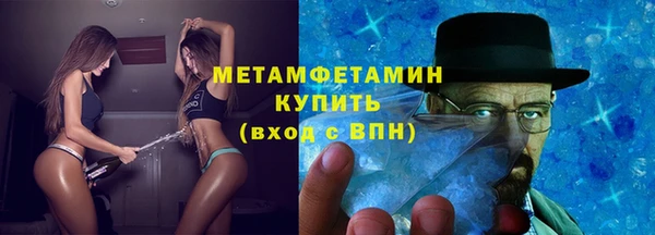 ГАЛЛЮЦИНОГЕННЫЕ ГРИБЫ Дмитриев