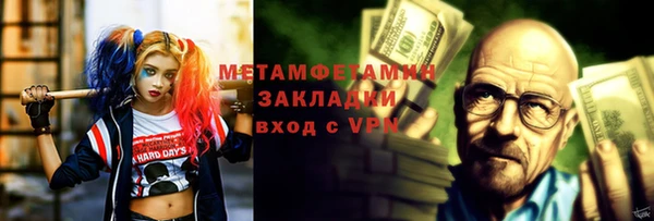 ГАЛЛЮЦИНОГЕННЫЕ ГРИБЫ Дмитриев