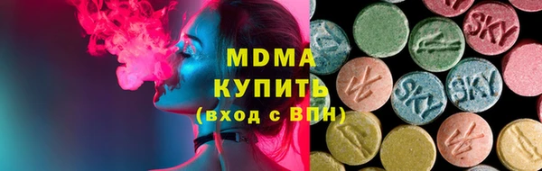 ГАЛЛЮЦИНОГЕННЫЕ ГРИБЫ Дмитриев