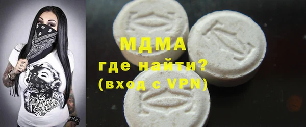 ГАЛЛЮЦИНОГЕННЫЕ ГРИБЫ Дмитриев