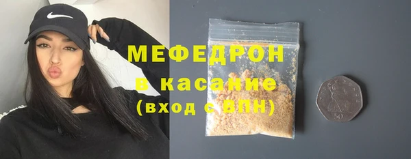 ГАЛЛЮЦИНОГЕННЫЕ ГРИБЫ Дмитриев