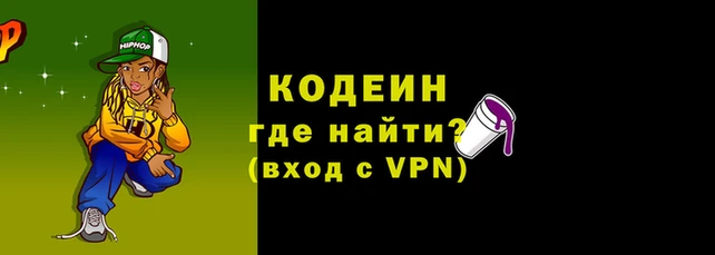 ГАЛЛЮЦИНОГЕННЫЕ ГРИБЫ Дмитриев