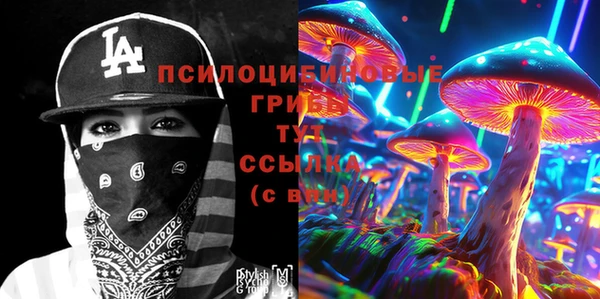 ГАЛЛЮЦИНОГЕННЫЕ ГРИБЫ Дмитриев