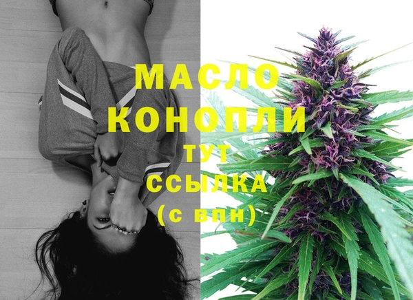 ГАЛЛЮЦИНОГЕННЫЕ ГРИБЫ Дмитриев