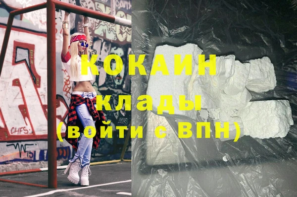 ГАЛЛЮЦИНОГЕННЫЕ ГРИБЫ Дмитриев