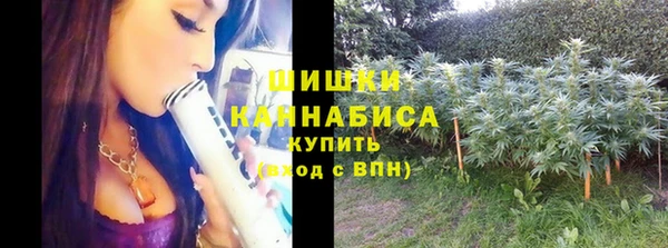 ГАЛЛЮЦИНОГЕННЫЕ ГРИБЫ Дмитриев