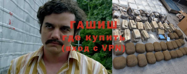 ГАЛЛЮЦИНОГЕННЫЕ ГРИБЫ Дмитриев