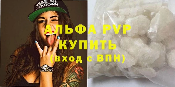 ГАЛЛЮЦИНОГЕННЫЕ ГРИБЫ Дмитриев